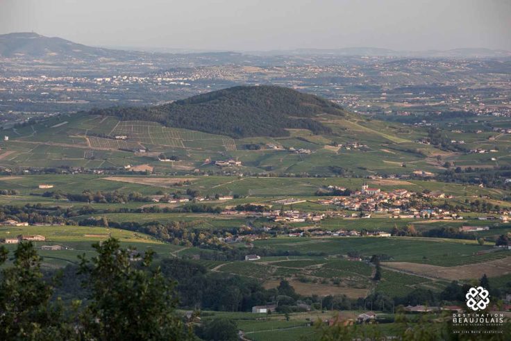 Vue depuis la terrasse de Chiroubles dans le Beaujolais