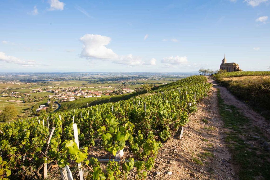 La Madone de Fleurie dans le Beaujolais