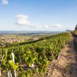 La Madone de Fleurie dans le Beaujolais