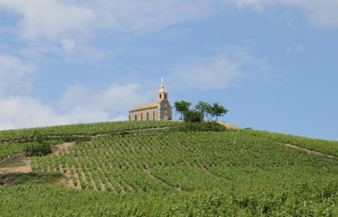 Circuit à vélos des crus