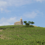 Circuit à vélos des crus