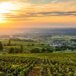 Circuits Crus du Beaujolais