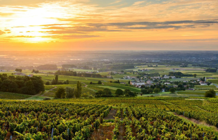 Circuits Crus du Beaujolais